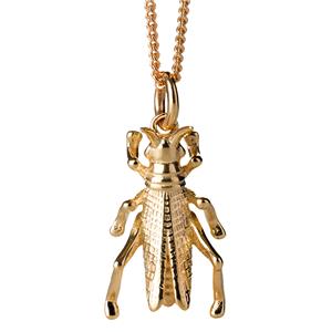 <p>Grasshopper necklace</p>